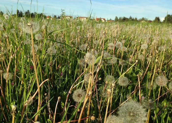 Апартаменты Gertrud